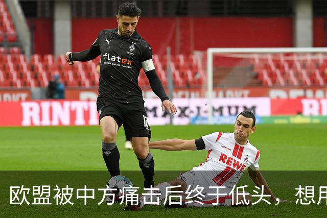 欧盟被中方痛击后终于低头，想用一换一来救阿斯麦供应商