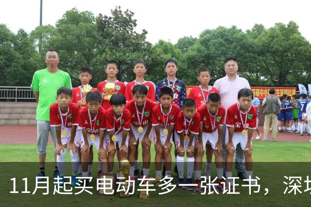 11月起买电动车多一张证书,深圳600万辆存量车不用换